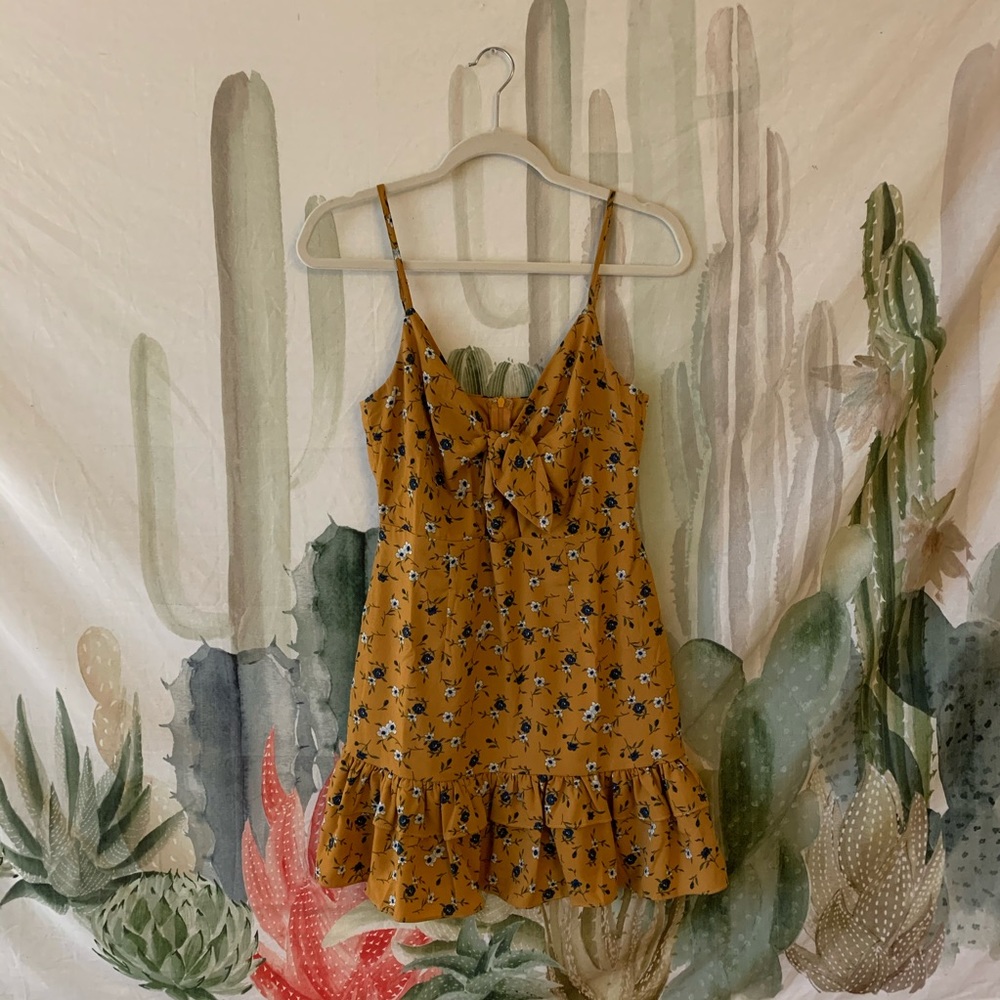 Princess Polly Dress